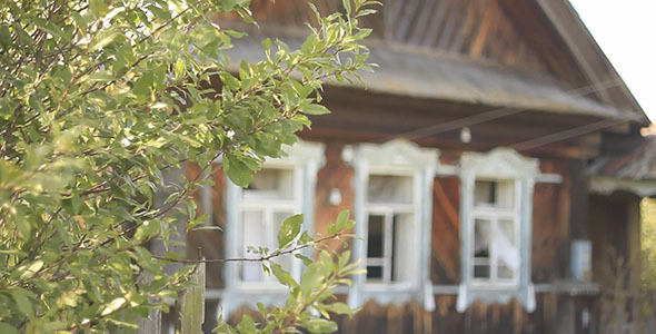 Green Leaves And Abandoned Village House Green Leaves And Abandoned Village House