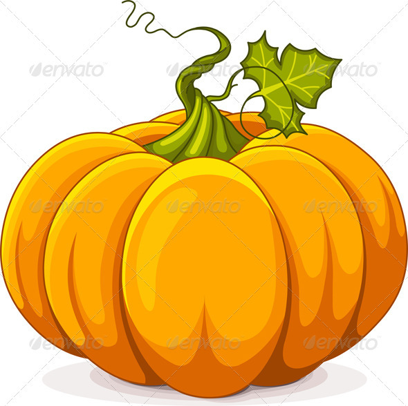 Autumn Pumpkin