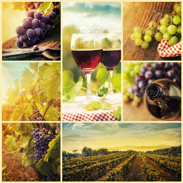 Wine collage - Stock Photo - Images