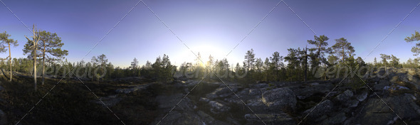 Nature HDRI - Midsummer Rock - 3DOcean Item for Sale