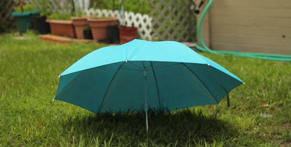 Umbrella With Garden In Back Umbrella With Garden In Back