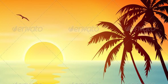 Tropical Sunset Tropical Sunset