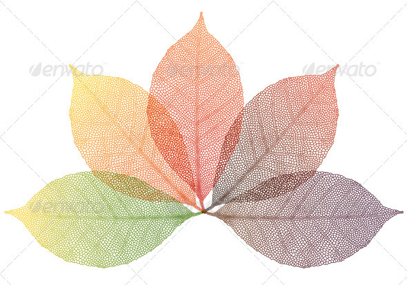 Autumn Leaves Vector Autumn Leaves Vector