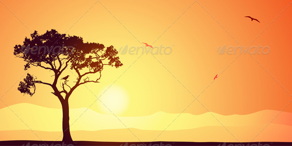 Tree Silhouette Tree Silhouette