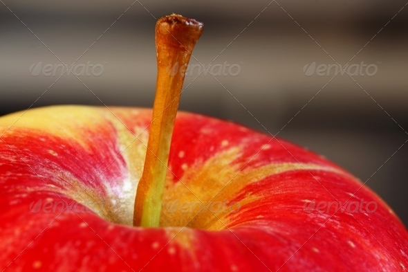 Apple stem Coloseup