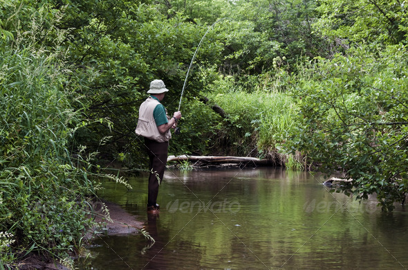 stream fishing