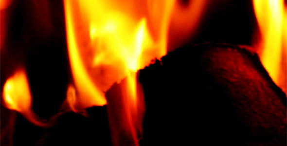 The Fire The Fire