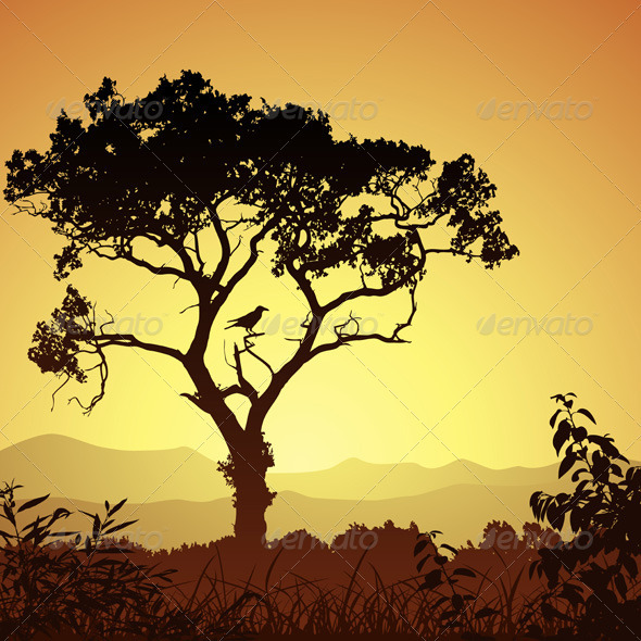 Tree Silhouette Tree Silhouette