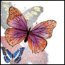 ButterflyHerder