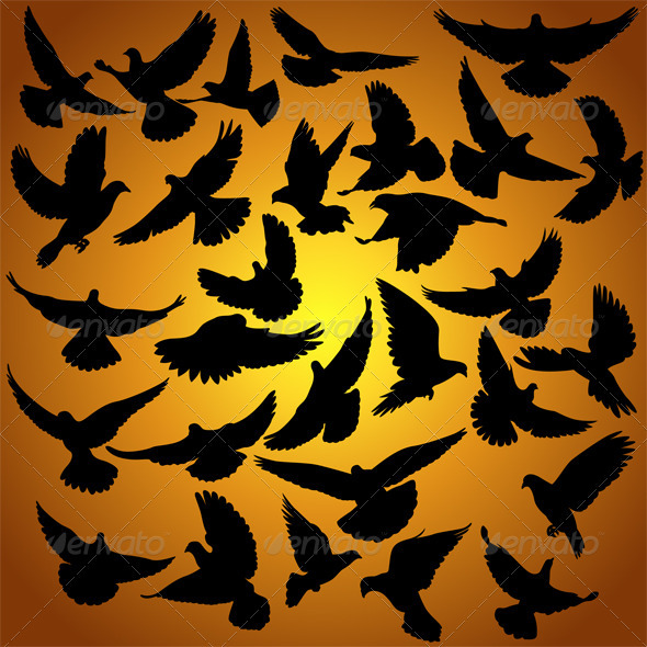 Doves Doves