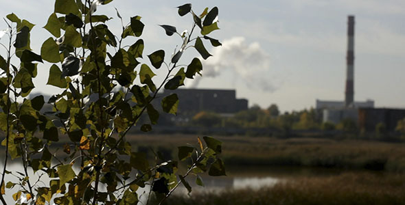 Green Leaves And Industrial Smokestack Green Leaves And Industrial Smokestack
