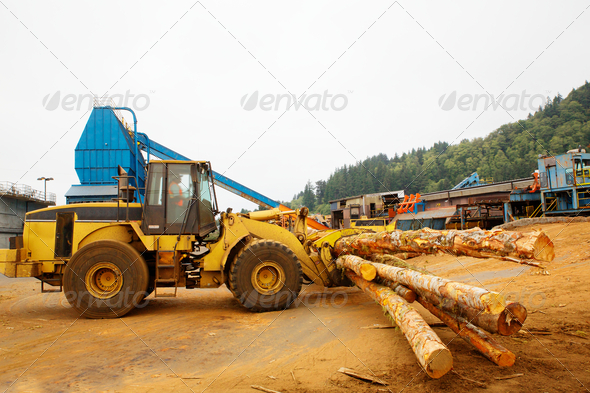 Logging Forklift at Mill