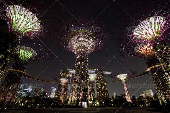 ight view of The Supertree Grove at Gardens by the Bay in Singapore