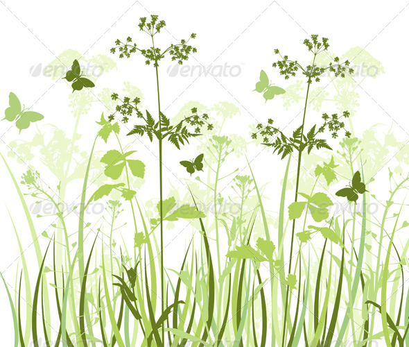 Meadow with Wildflowers Meadow with Wildflowers