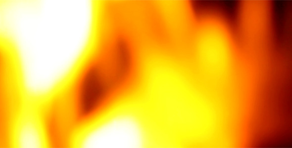 The Fire The Fire
