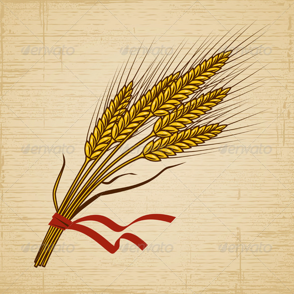 Retro Wheat Retro Wheat