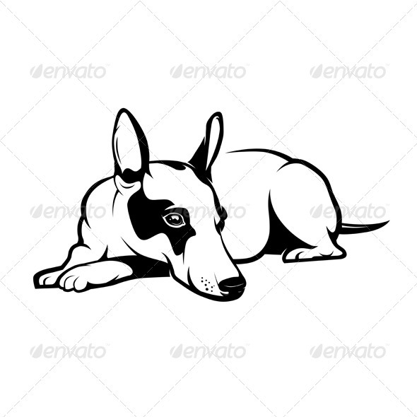 'Graphicriver