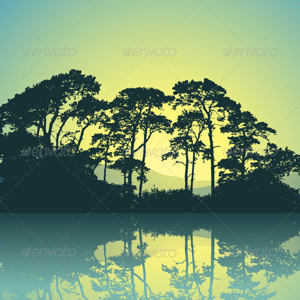 Trees Silhouette Trees Silhouette