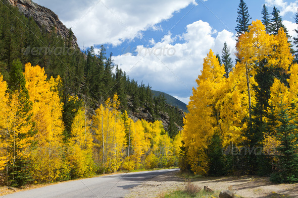 Scenic Road in Colorado Fall Aspens