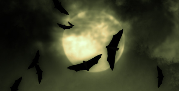 Halloween Moon Bats 2 Halloween Moon Bats 2