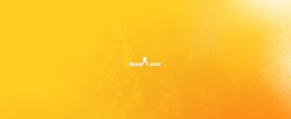 NoiseLabel