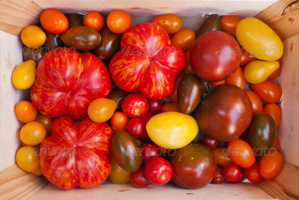Heirloom tomato cultivars