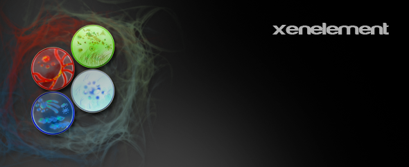 XenElement