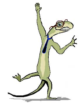 2Geckos