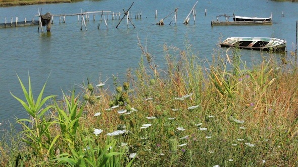 Background with Boats Lake and Grass Background with Boats Lake and Grass
