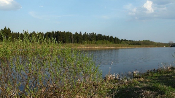 Coniferous Forest And River At Spring Russia 3 Coniferous Forest And River At Spring Russia 3