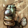 groBoto