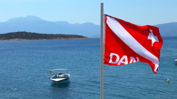 Divers Alert Network DAN Flag Waving Divers Alert Network DAN Flag Waving