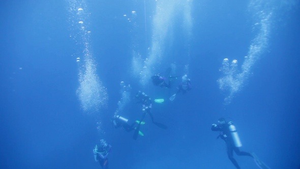 Group of Divers With Many Air Bubbles Group of Divers With Many Air Bubbles