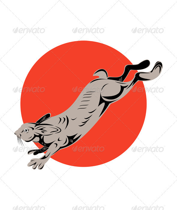 Jack Rabbit Jumping Jack Rabbit Jumping