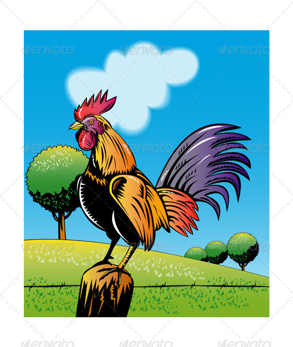 Rooster Cockerel Crowing Retro Rooster Cockerel Crowing Retro