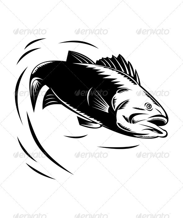 sea bass jumping retro sea bass jumping retro