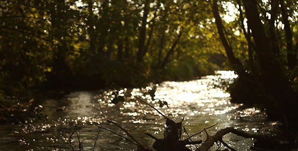 Sun Glares On The River Sun Glares On The River