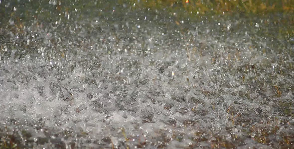 Water Splashes And Green Grass Water Splashes And Green Grass
