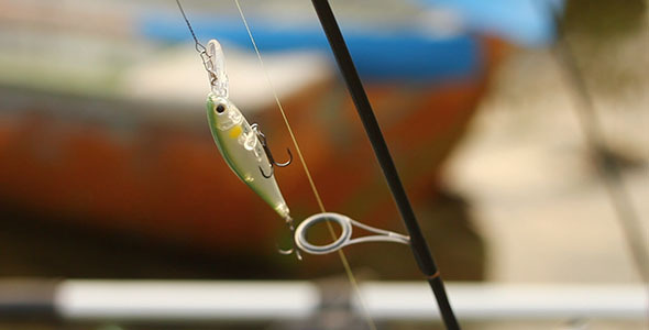 Fishing Bait On A Rod Fishing Bait On A Rod