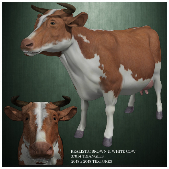 Realistic Brown And White Cow 3D Model Realistic Brown And White Cow 3D Model