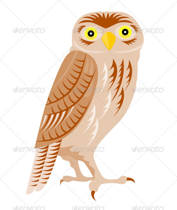 Owl Retro Owl Retro