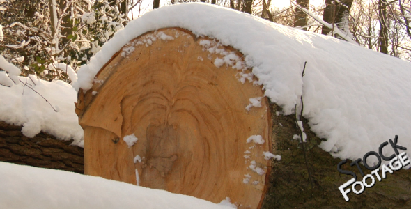 Winter Log FullHD Stock Footage H.264 Winter Log FullHD Stock Footage H.264