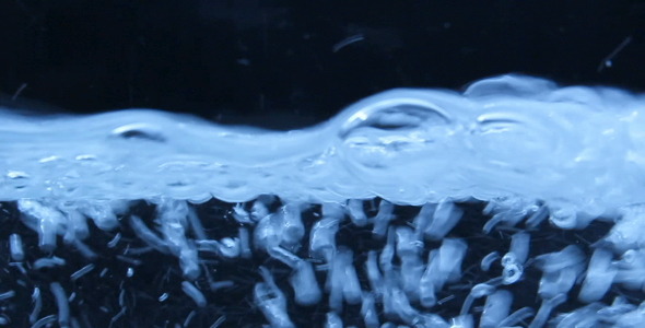 Water Bubbles Water Bubbles