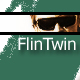 FlinTwin