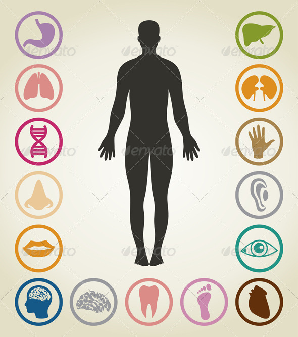 Bodies of the person Bodies of the person