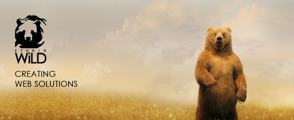 Themeforest banner