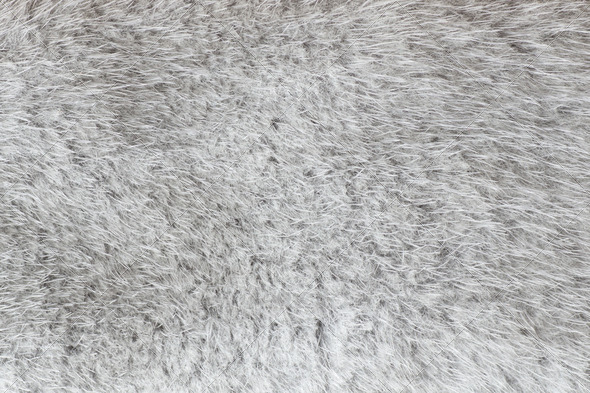 abstract light gray polar fox fur background (mixed texture)