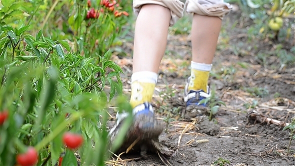 Walking In The Garden Mud 1 Walking In The Garden Mud 1