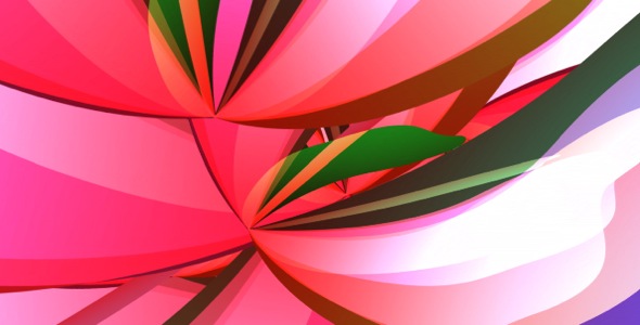 Tropical Flowers HD Loop Tropical Flowers HD Loop