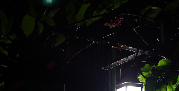 Night Rain 1 Night Rain 1